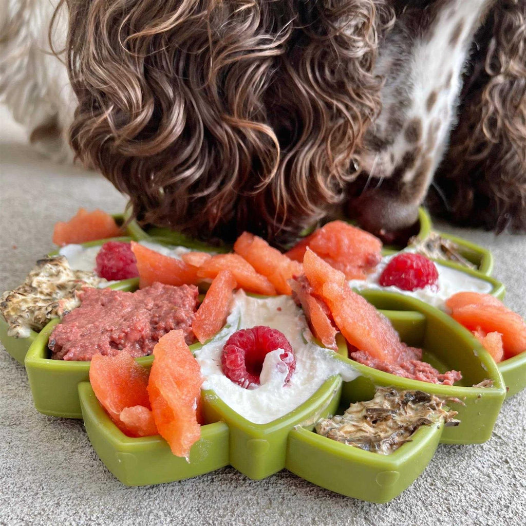 Mandala Design Enrichment Tray for Dogs S990