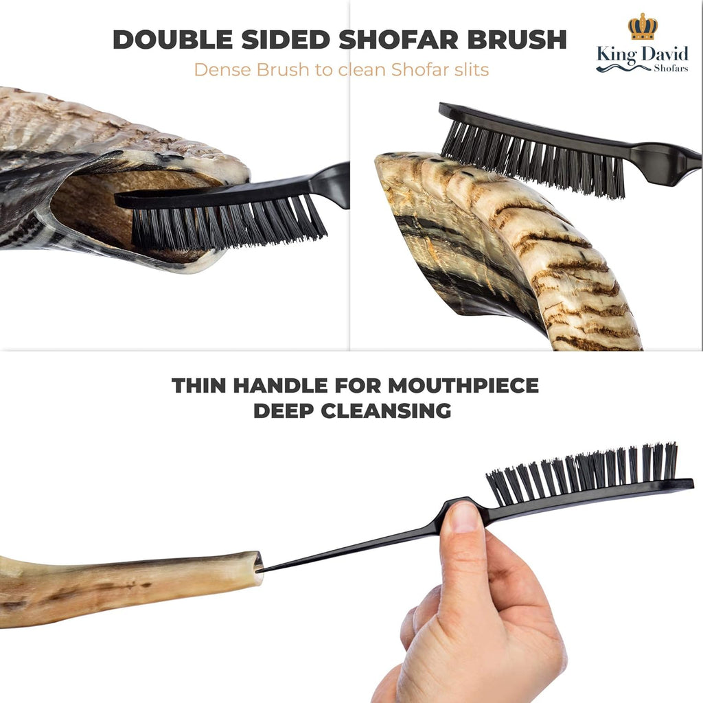 Shofar Horn Instrument Pack of 2 E39093