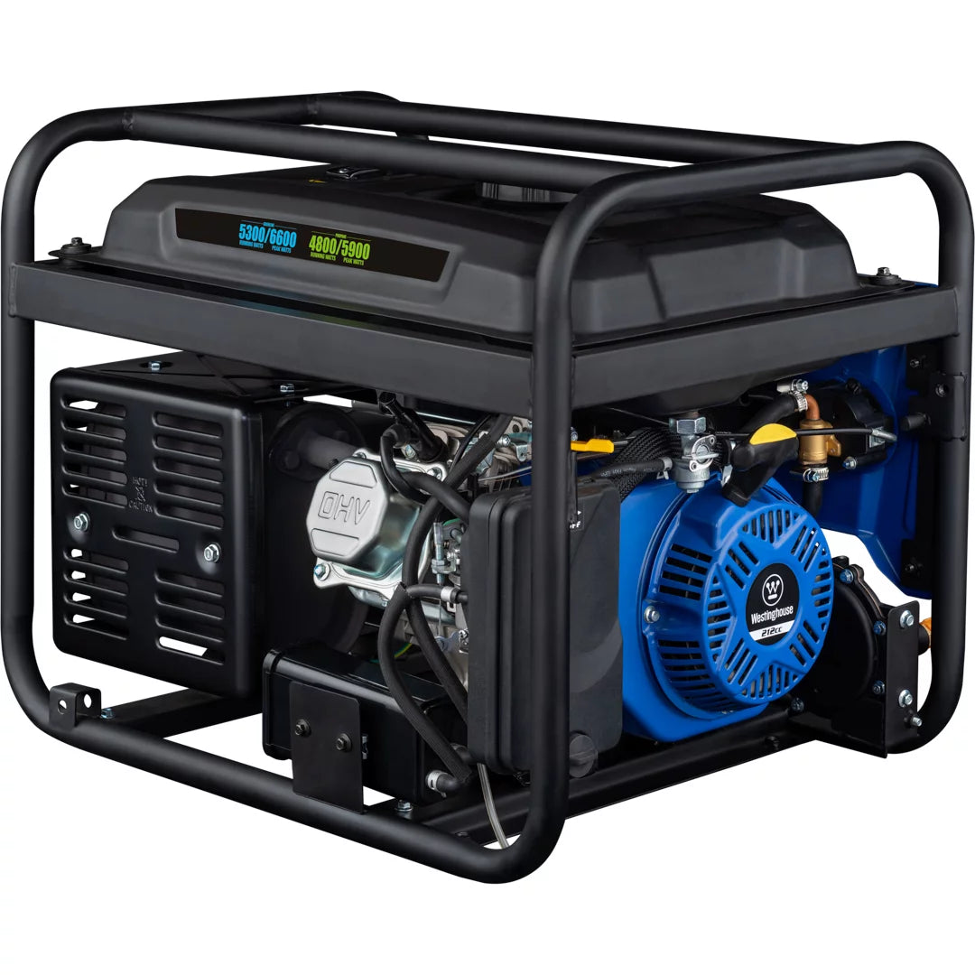 Dual Fuel Portable Generator with Remote Electric Start E1398