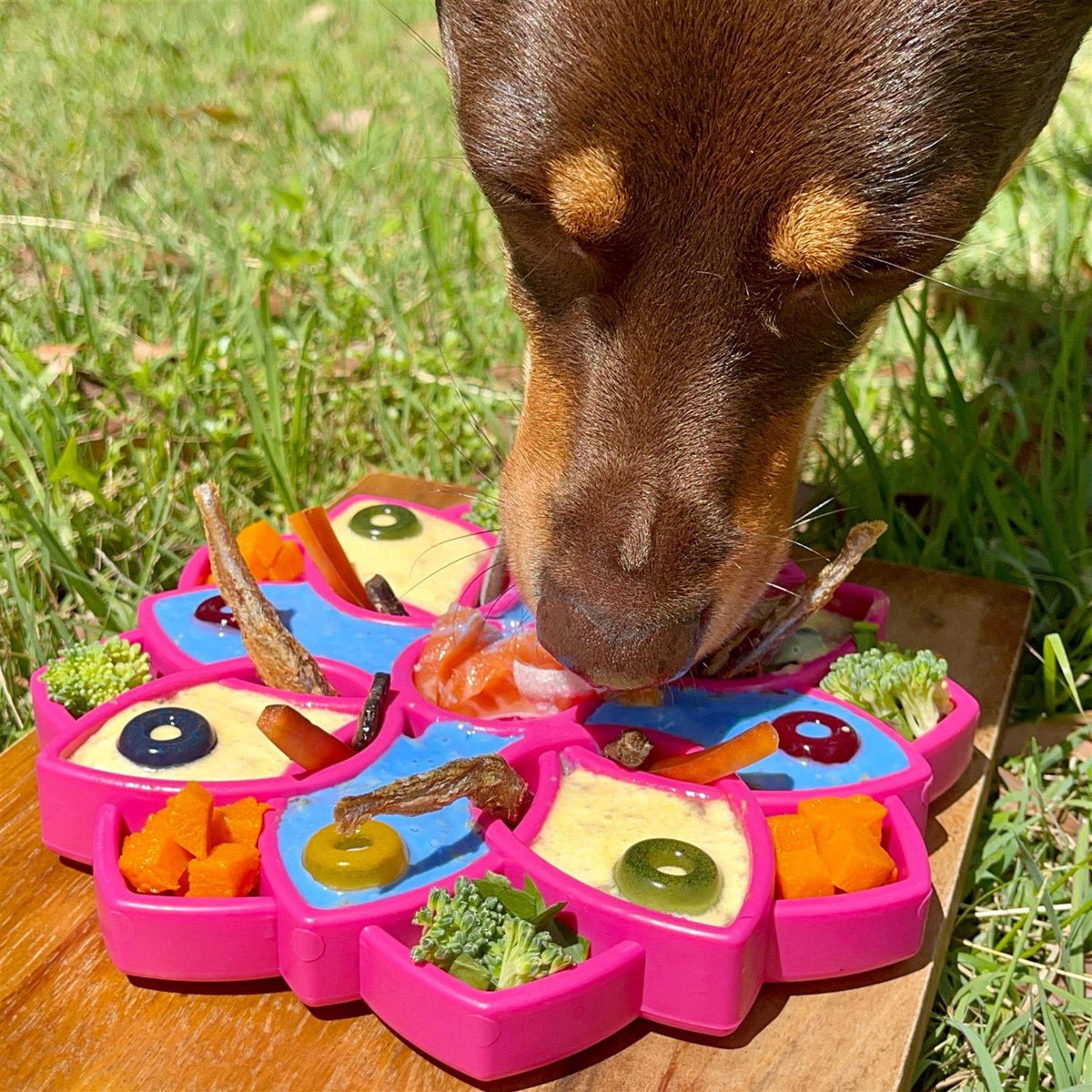 Mandala Design Enrichment Tray for Dogs S990