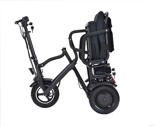 48v 700w Dual Motor Lithium Battery Folding Electric Scooter B219