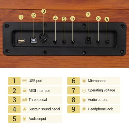 88 Key Weighted Hammer Action Digital Piano with Triple Pedal C50441
