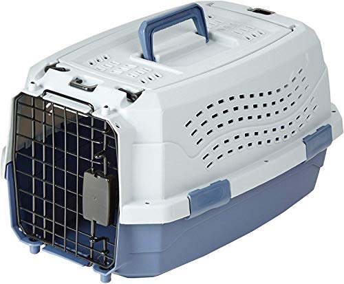 2-Door Top-Load Hard-Sided Pet Travel Carrier, Gray & Blue, 22.8"L x 15.0"W x 13.0"H Z94201