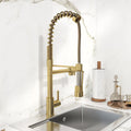 Pull Out Sprayer Kitchen Faucet Solid Brass H750