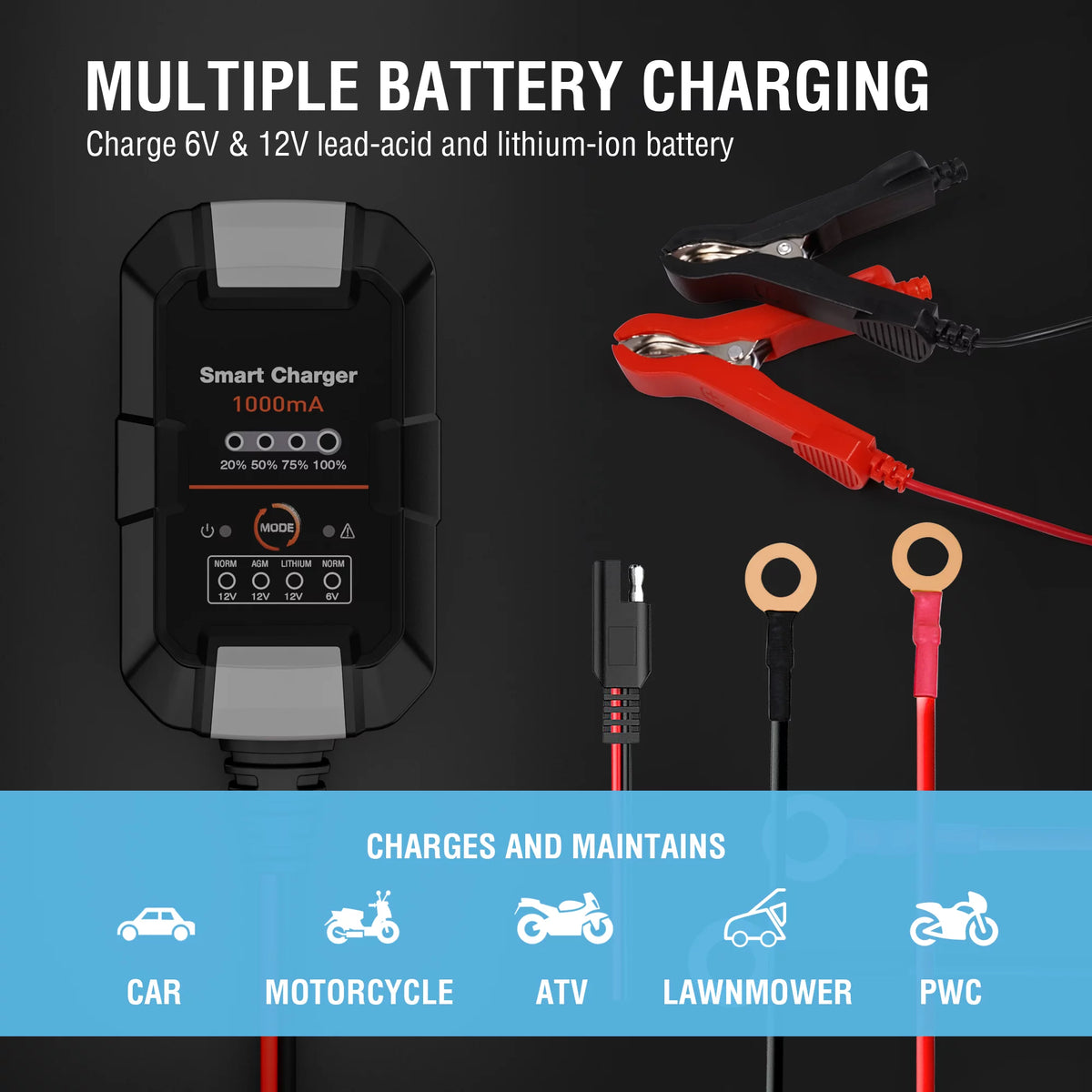 6V/12V 1A Trickle Charger Battery Maintainer Z21750