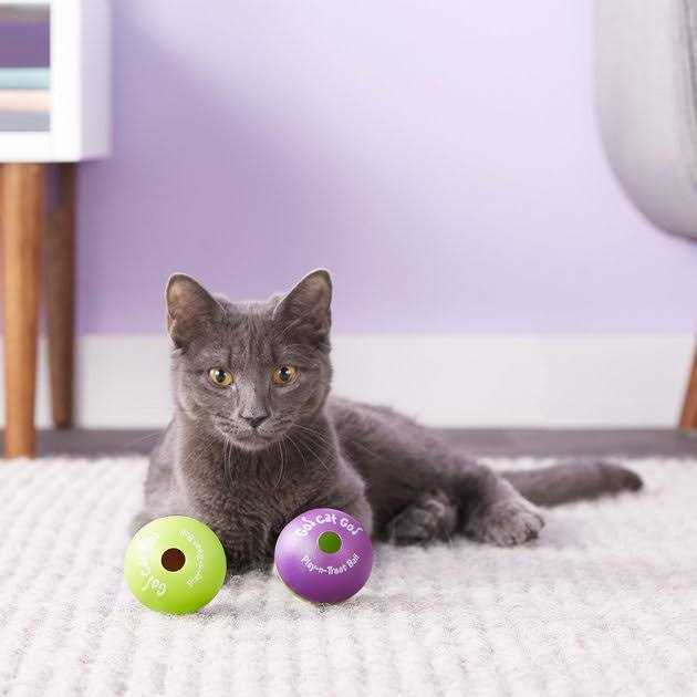 Cat Toy Z57335