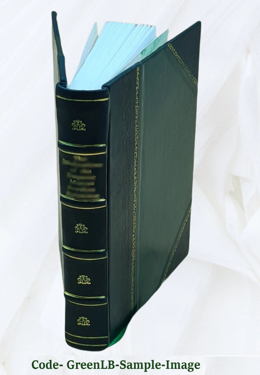 Leather Bound Book H65338