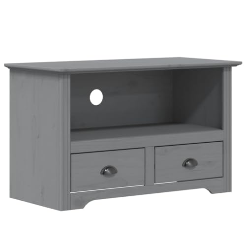Gray Solid Wood Pine TV Stand with 2 Drawers L96651