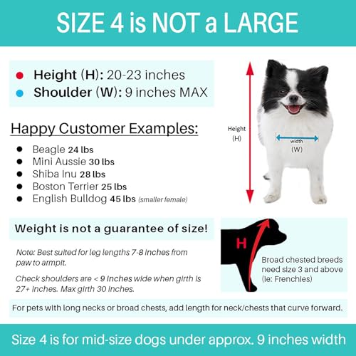 Dog Halloween Costume with Arms for Small and Medium Dogs and Cats B583