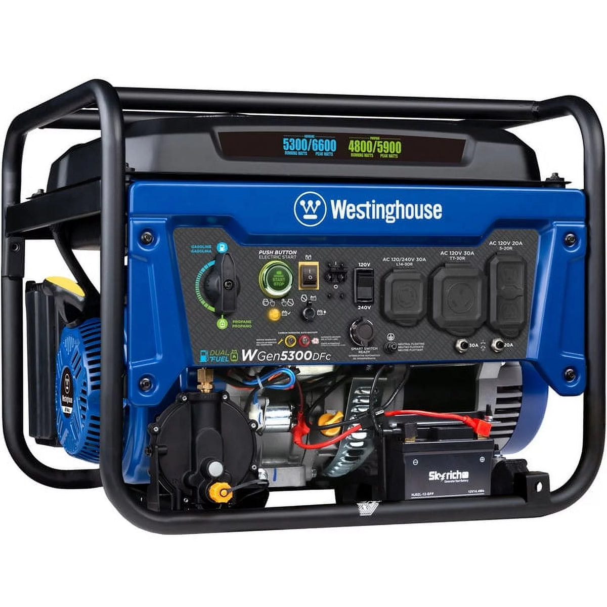 Dual Fuel Portable Generator with Remote Electric Start E1398