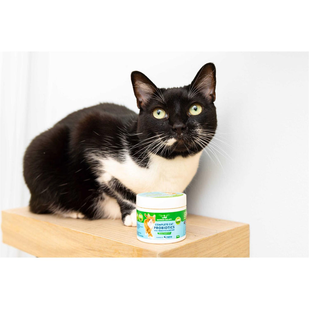 Cat Probiotics with Prebiotics & Enzymes F9709