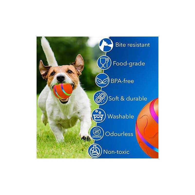 Interactive Dog Ball Toy Automatic Pet Ball with USB Charging & LED Lights T552727