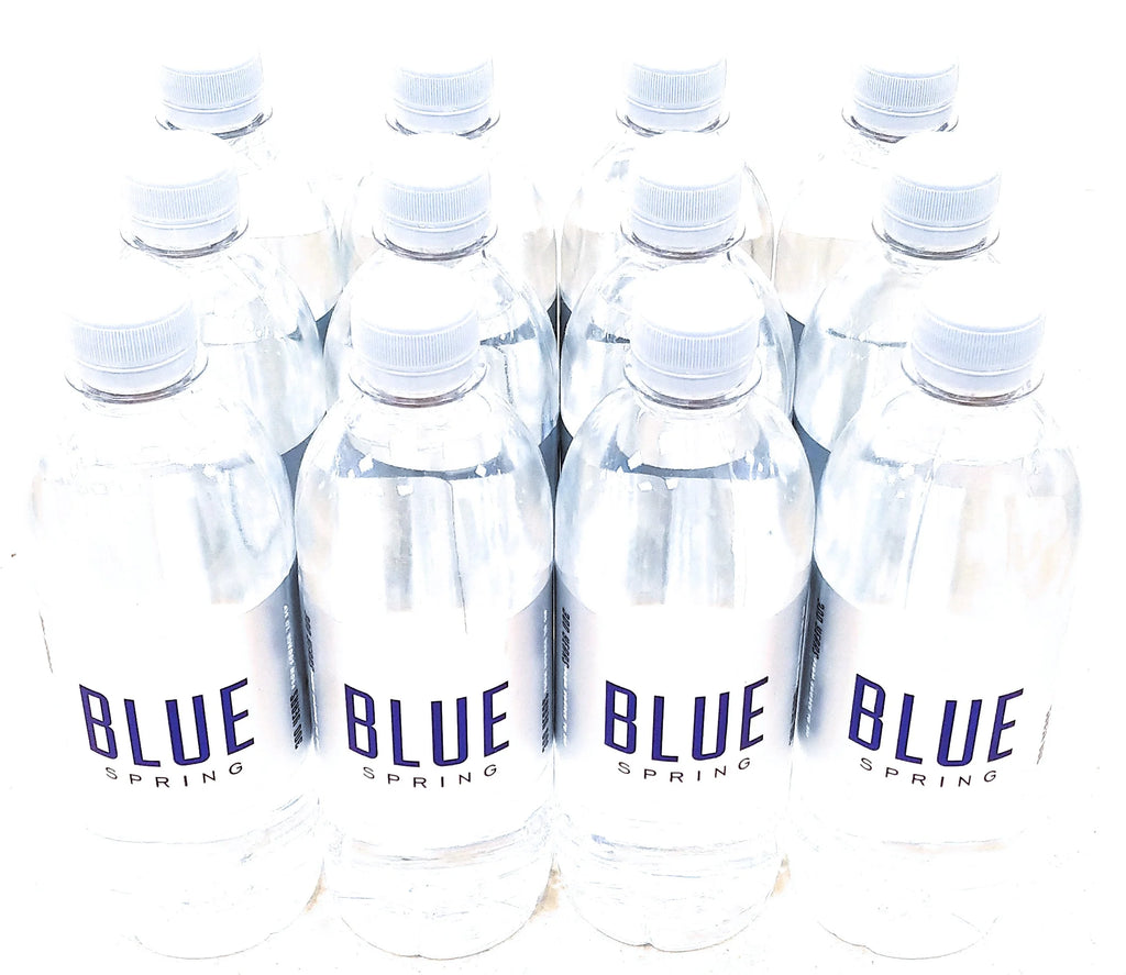 Natural Spring Water 16.9fl oz, 12 Pack U206