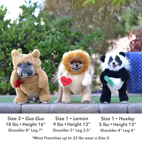 Dog Halloween Costume with Arms for Small and Medium Dogs and Cats B583