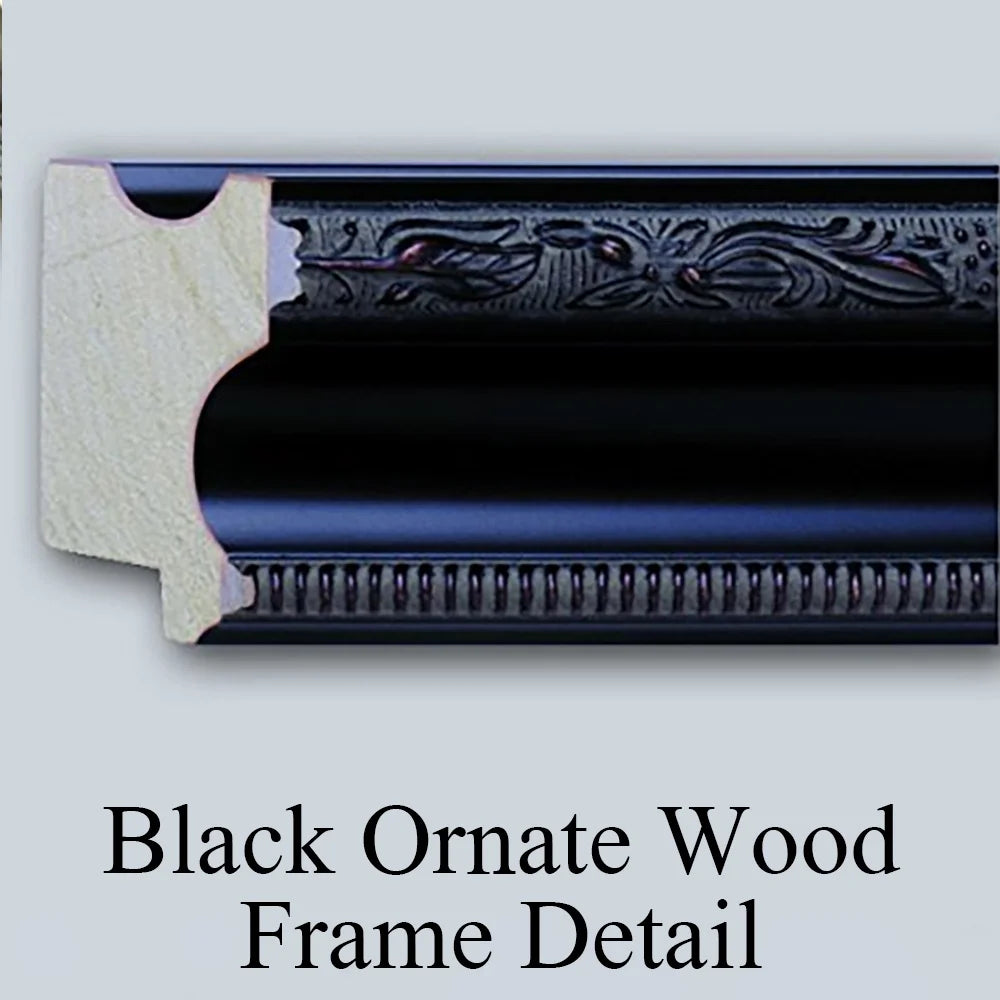 Black Ornate Framed Art Print K77491