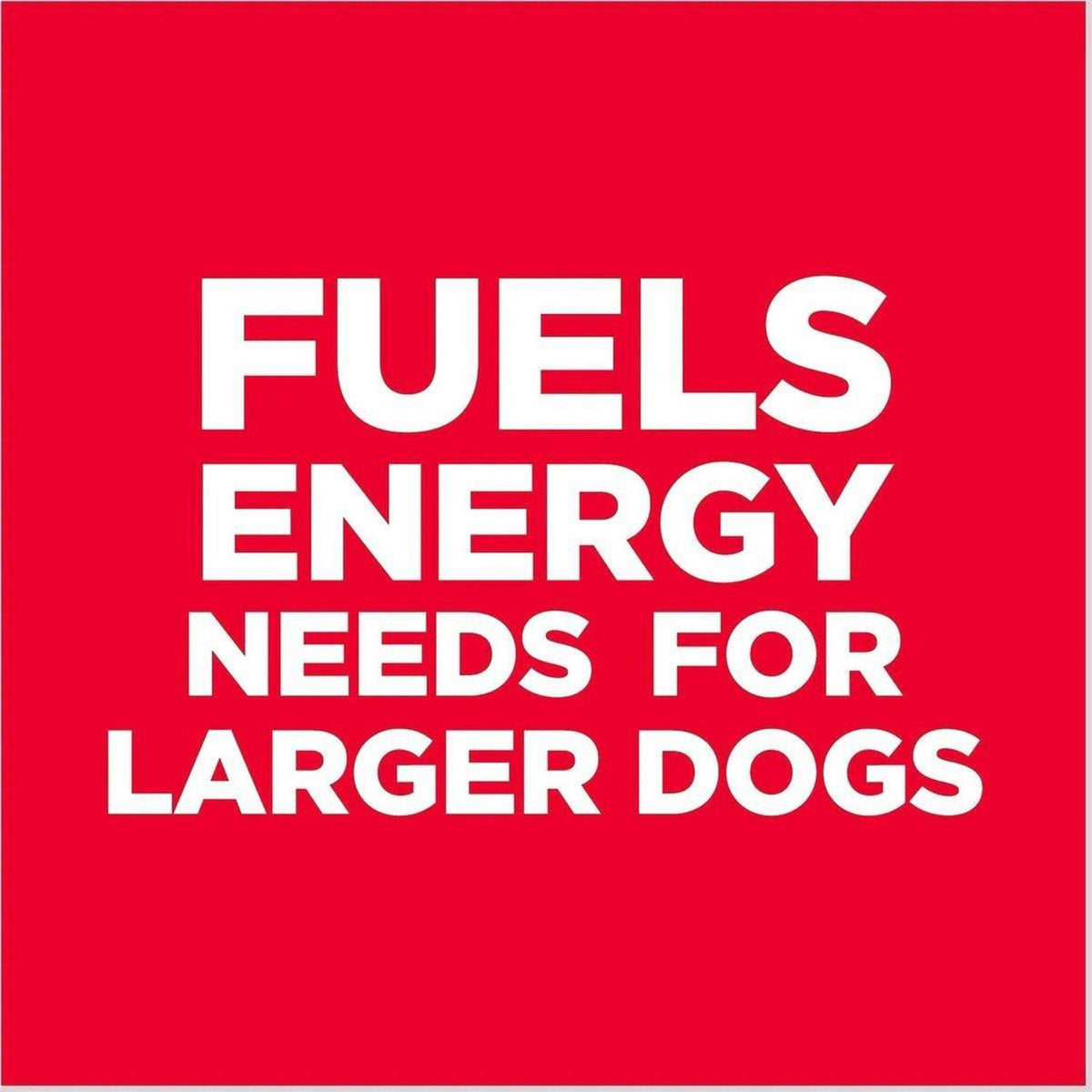 Adult 6+ Large Breed Chicken Meal Dry Dog Food W967