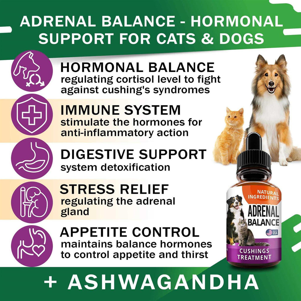 Adrenal Balance for Dogs and Cats H18050