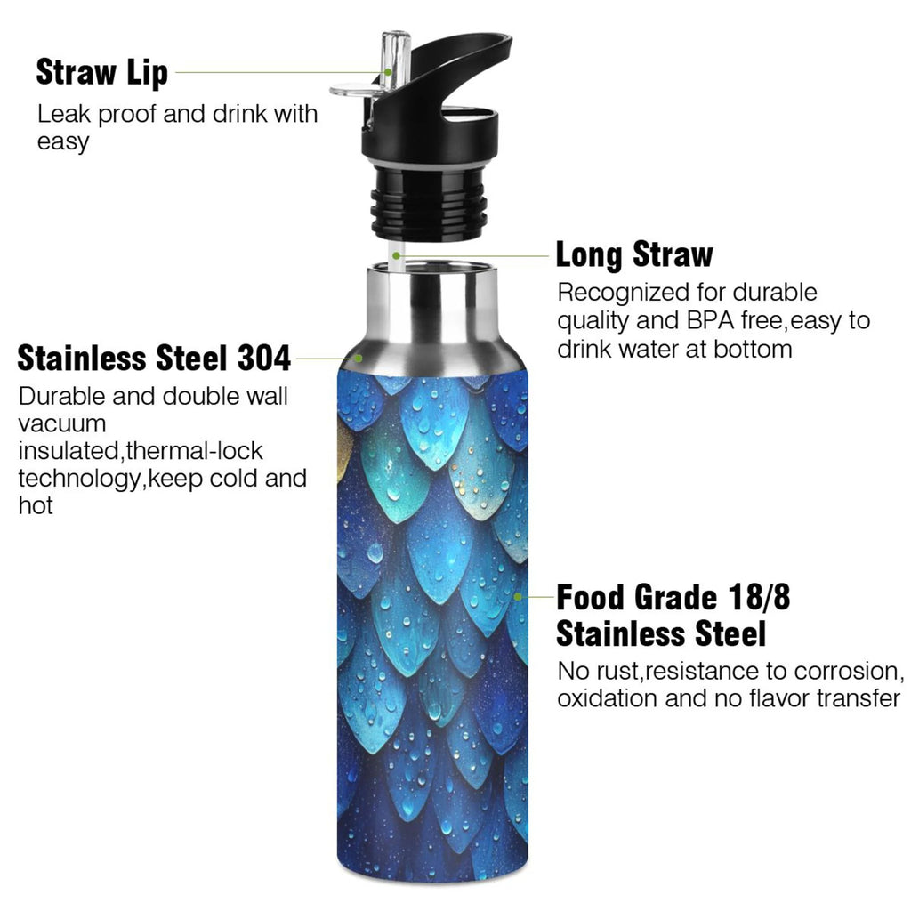 20 oz Insulated Stainless Steel Water Bottle with Straw Lid O7716