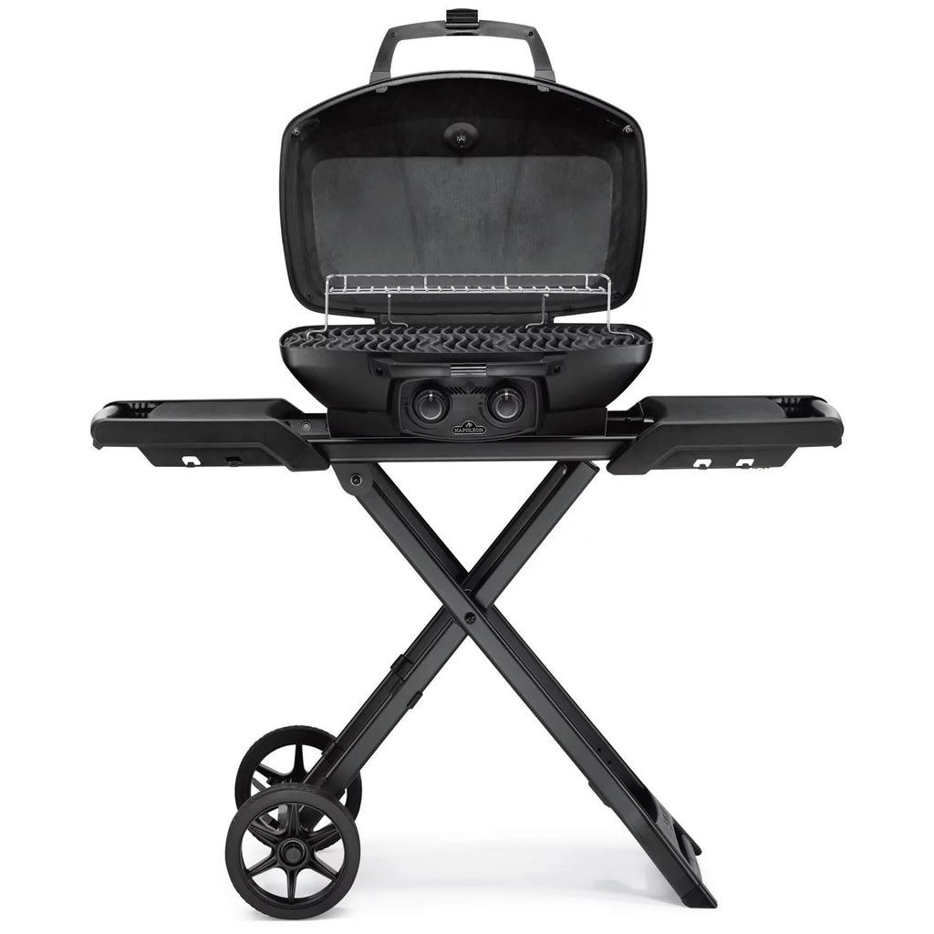 Matte Black Portable Propane Gas Grill B145409