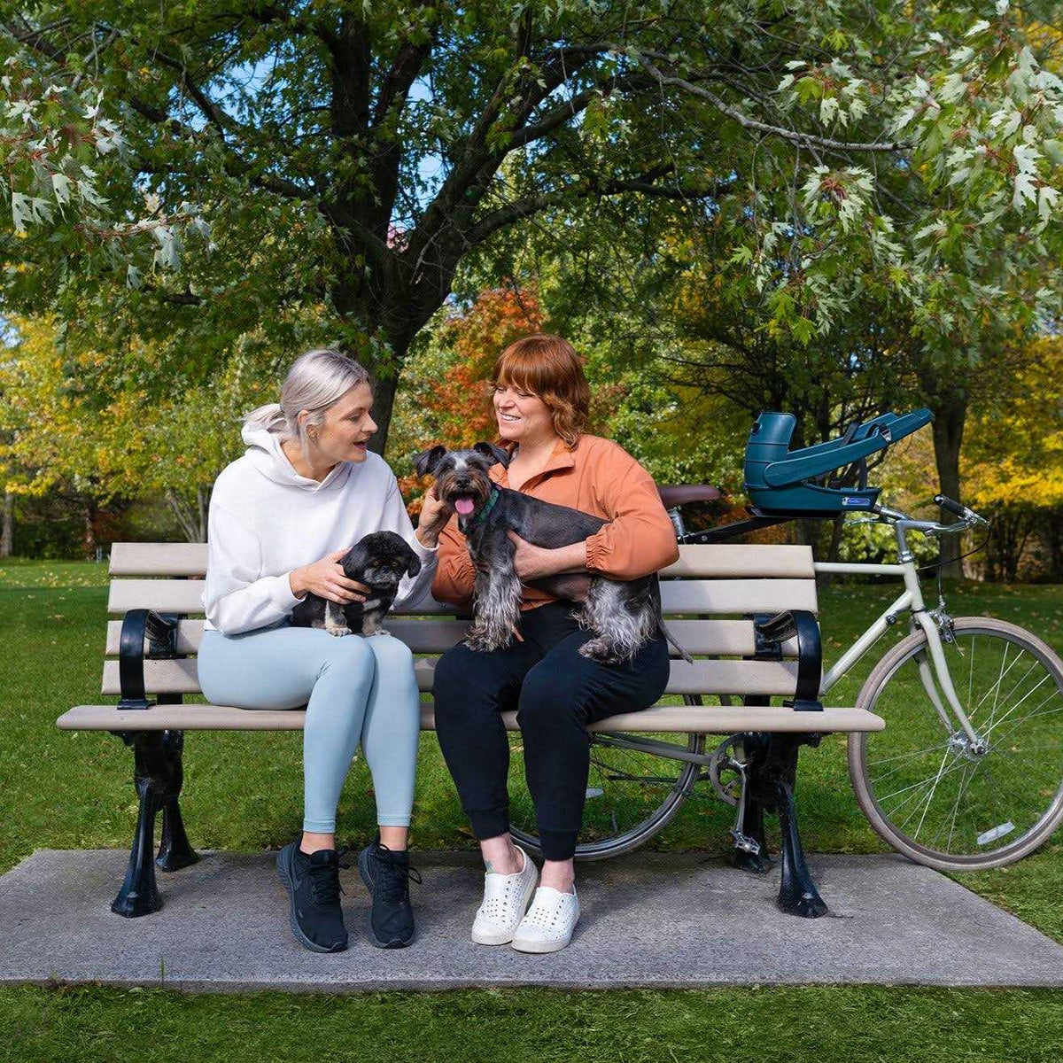 Dog Bicycle Seat for Dogs Up To 25 lbs T244