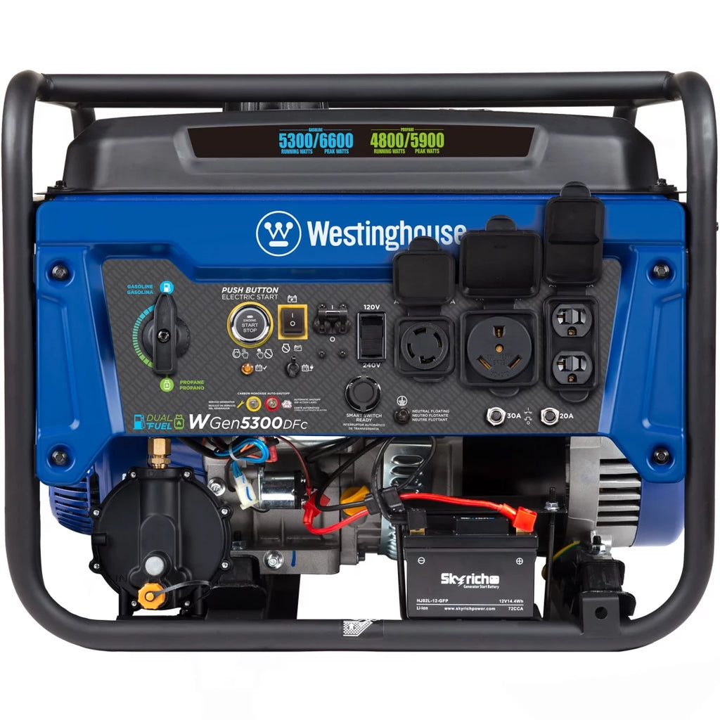 Dual Fuel Portable Generator with Remote Electric Start E1398