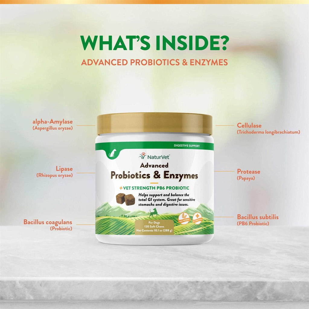Probiotics Enzymes S428202