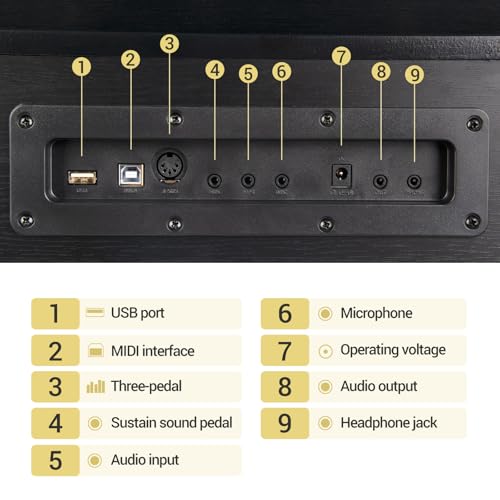 88 Key Weighted Hammer Action Digital Piano with Triple Pedal C50441
