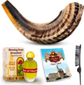Shofar Horn Instrument Pack of 2 E39093