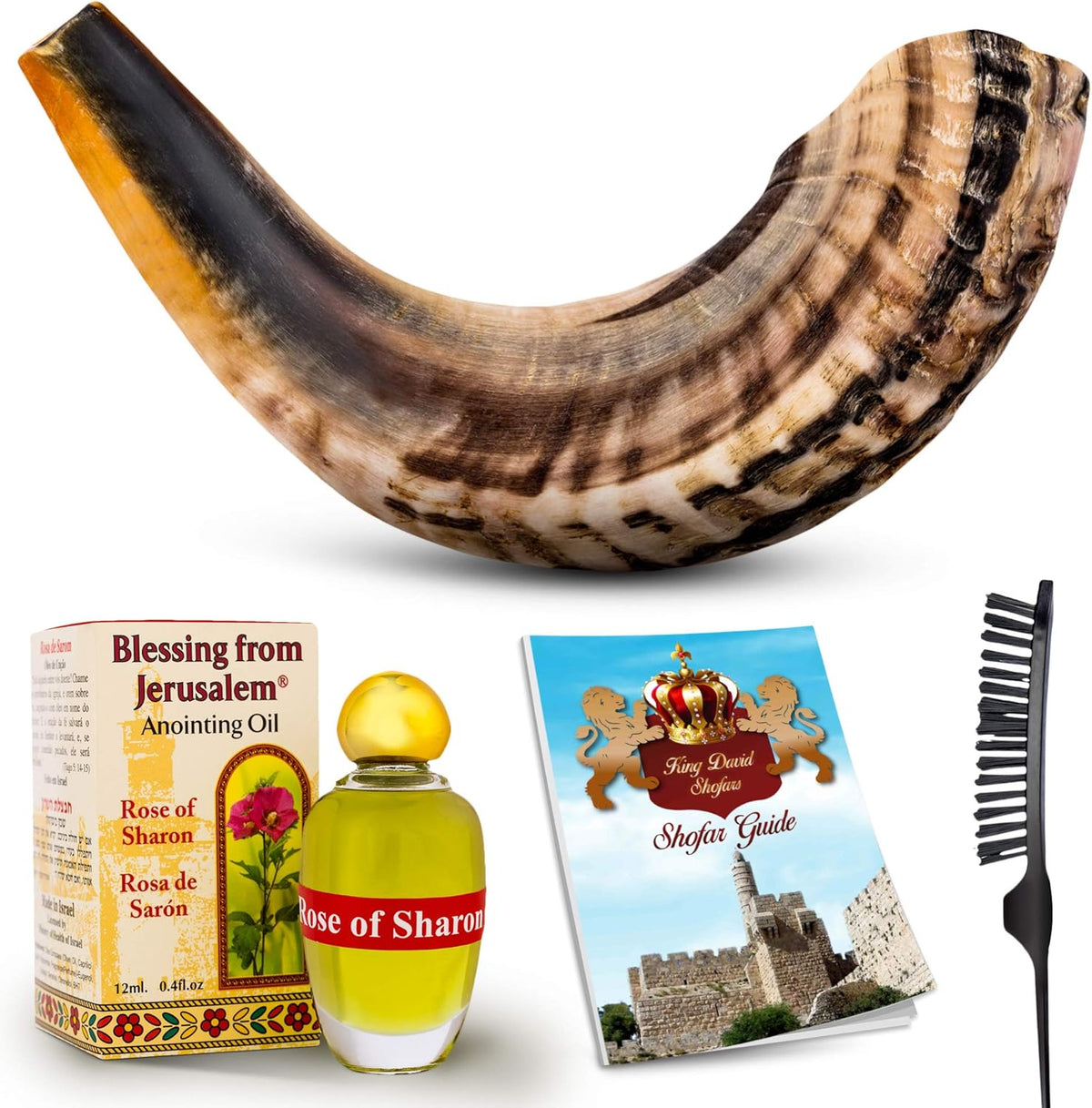 Shofar Horn Instrument Pack of 2 E39093