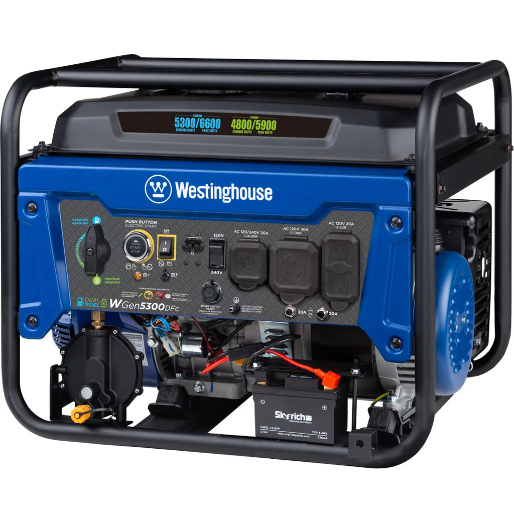 Dual Fuel Portable Generator with Remote Electric Start E1398