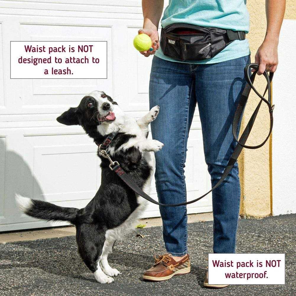 Dog Treat Training Pouch with Waste Bag Dispenser S518687