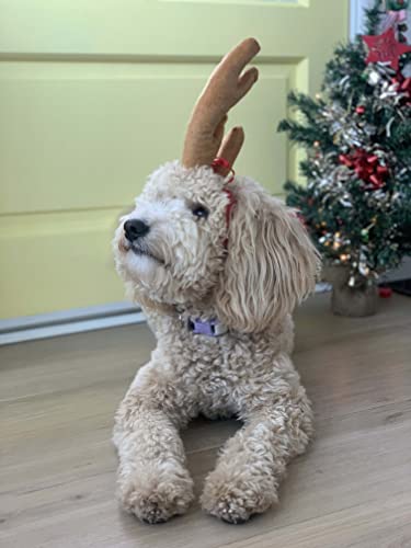 Reindeer Antler Dog Halloween Costume M769