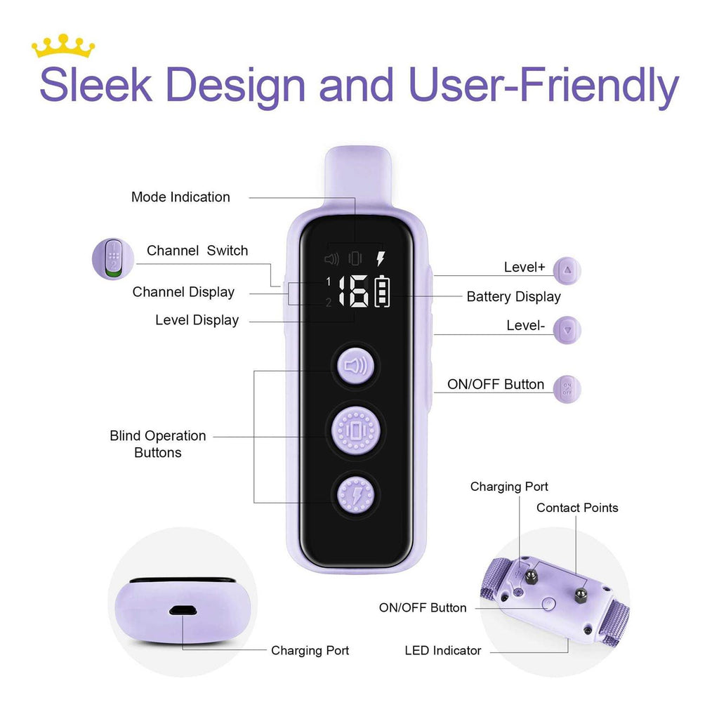 Waterproof Rechargeable Electric Dog Training Collar with Remote R331