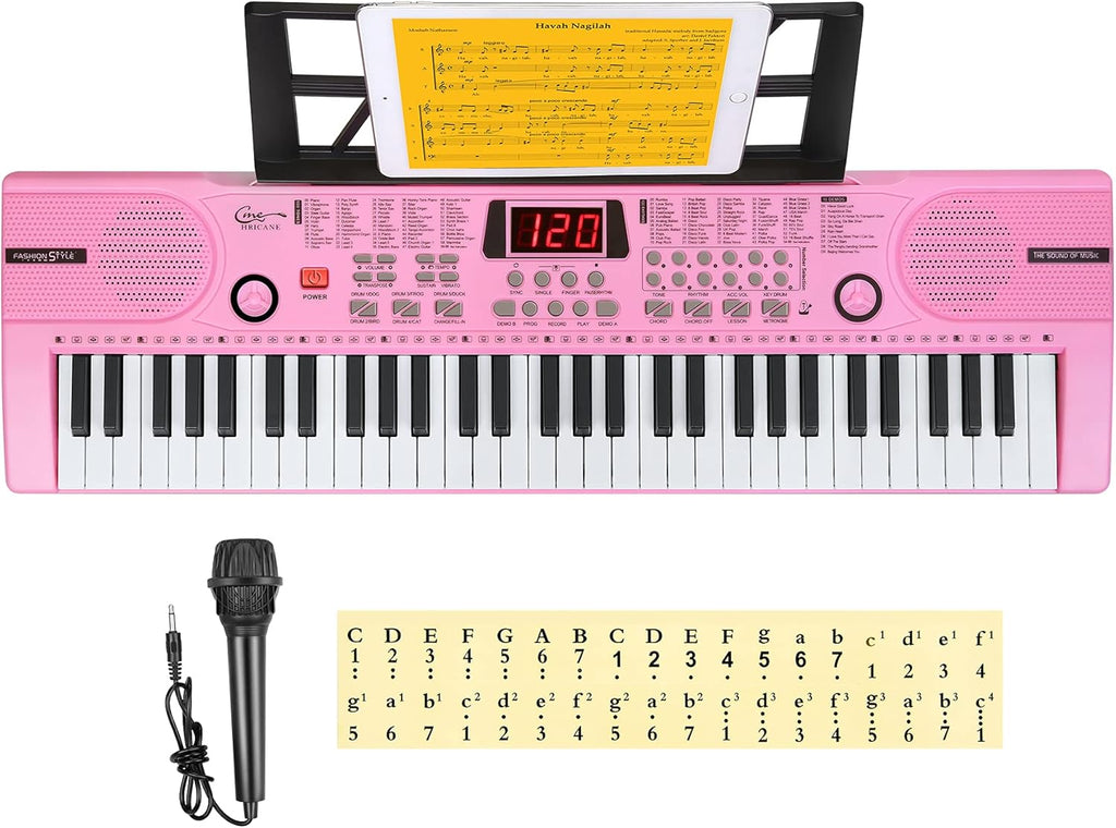 61 Key Lighted Keys Electronic Keyboard Piano with Microphone K16892
