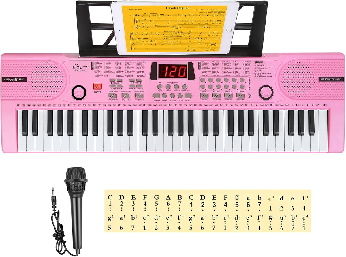 61 Key Lighted Keys Electronic Keyboard Piano with Microphone K16892
