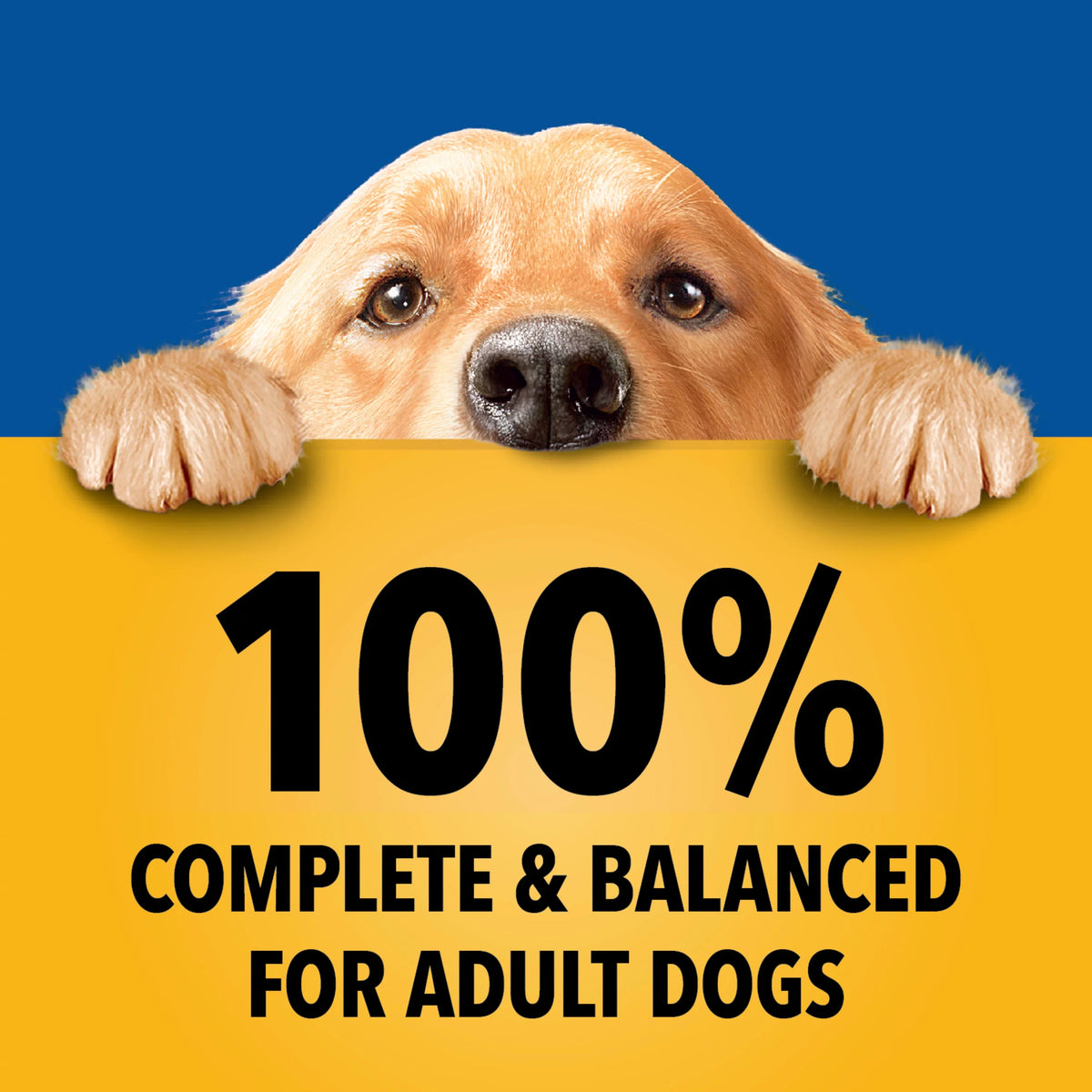 Wet Dog Food Variety Pack, 3.5 Oz Pouches (48 Pack) F365