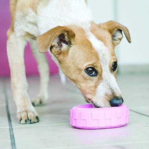 Puppy Toy J893120
