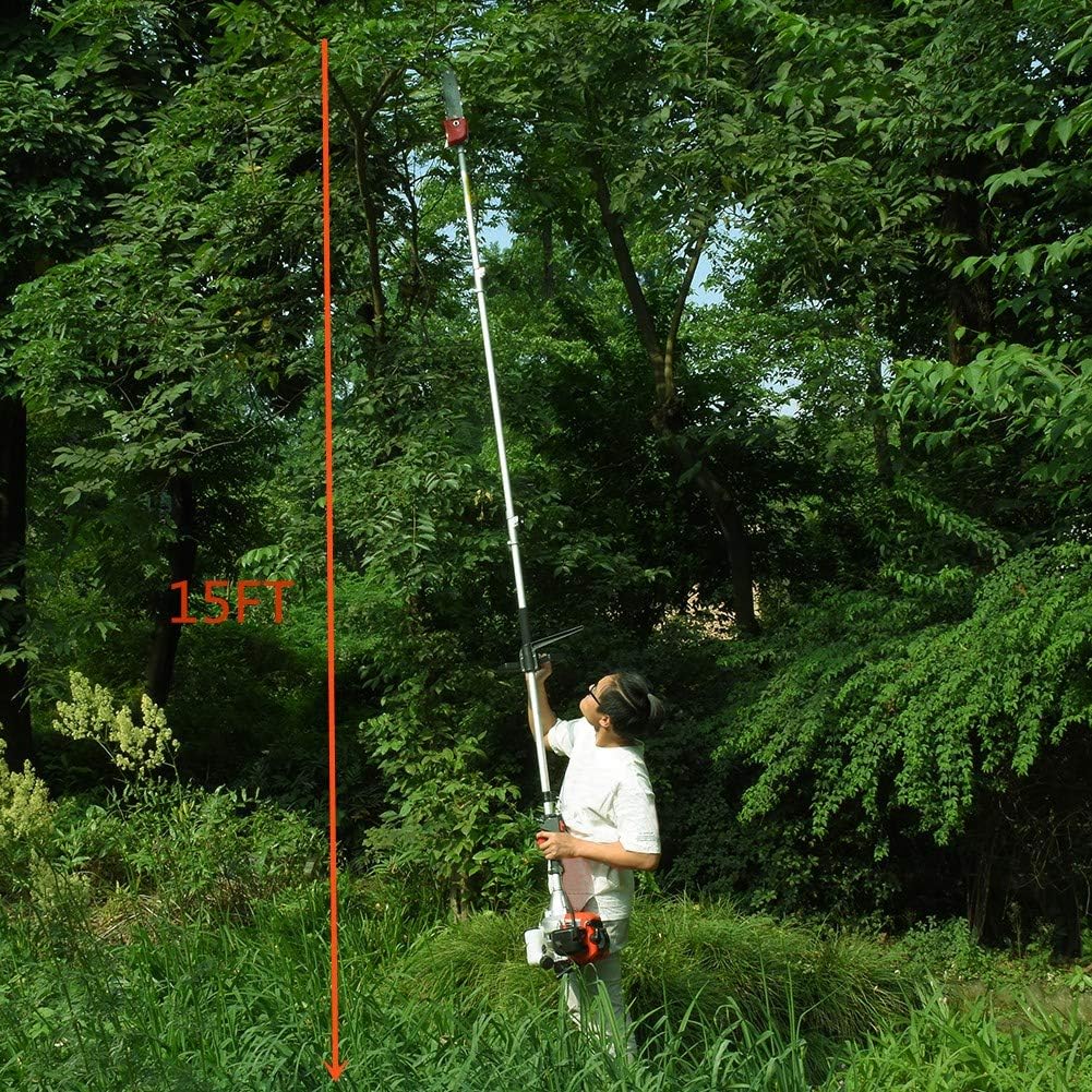 10 inch Gas Cordless Pole Saw with 3.6ft Extension G18164
