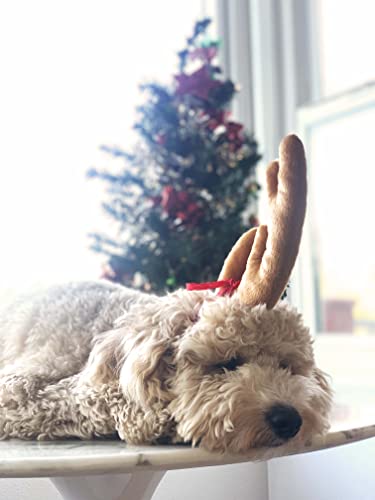 Reindeer Antler Dog Halloween Costume M769