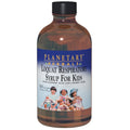 Kids Respiratory Syrup 4 fl oz E97180