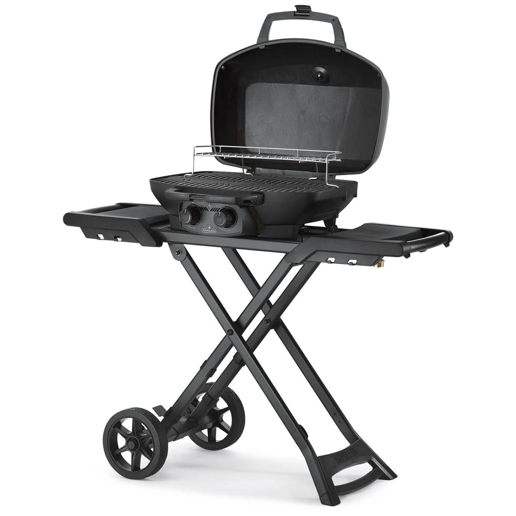 Matte Black Portable Propane Gas Grill B145409