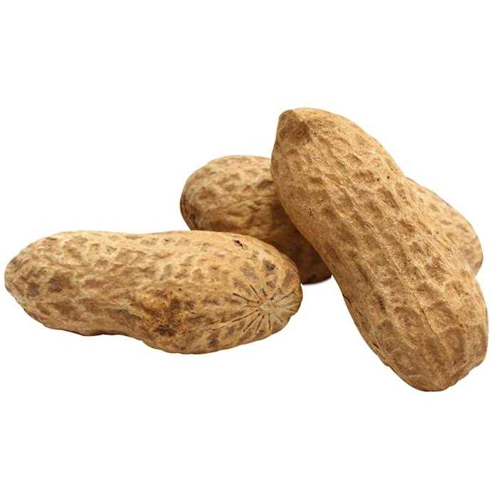 Unsalted In-Shell Whole Peanuts Bird Food R7848