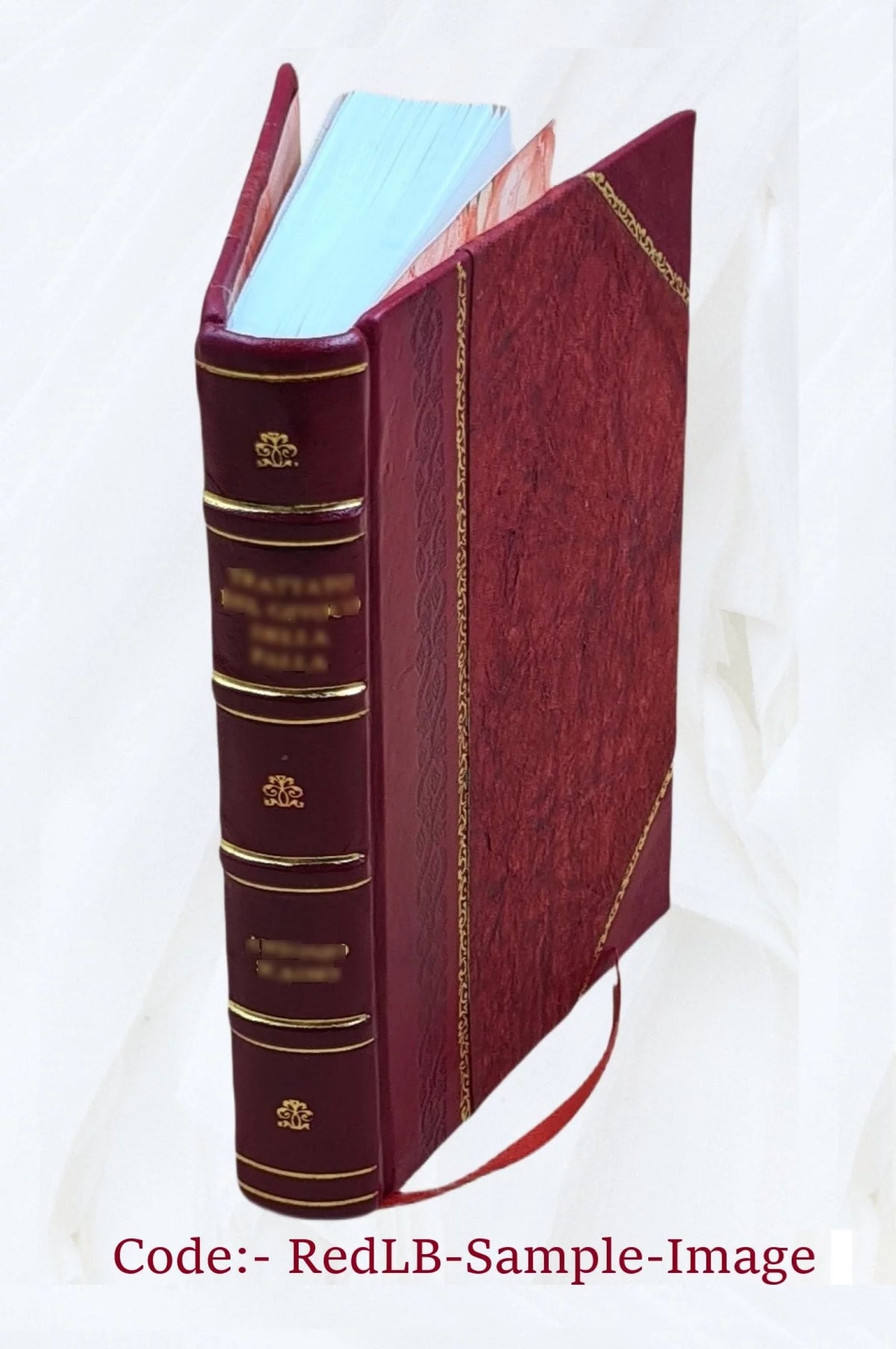 Leather Bound N479