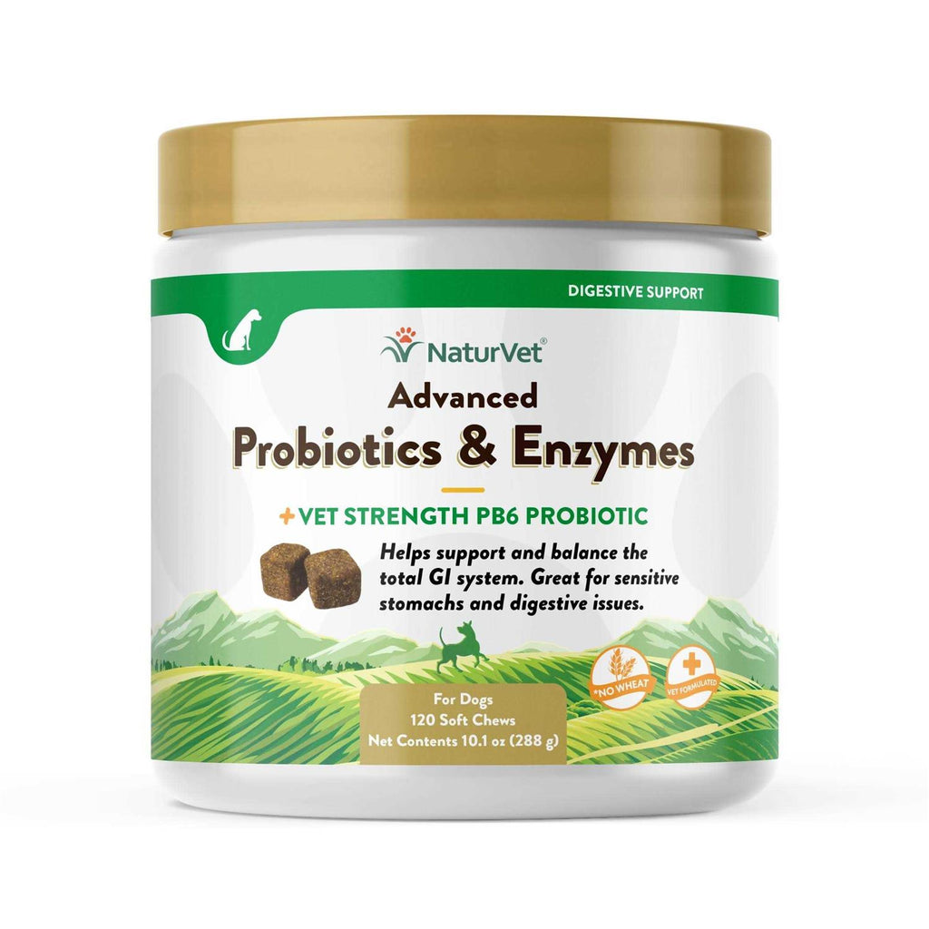 Probiotics Enzymes S428202