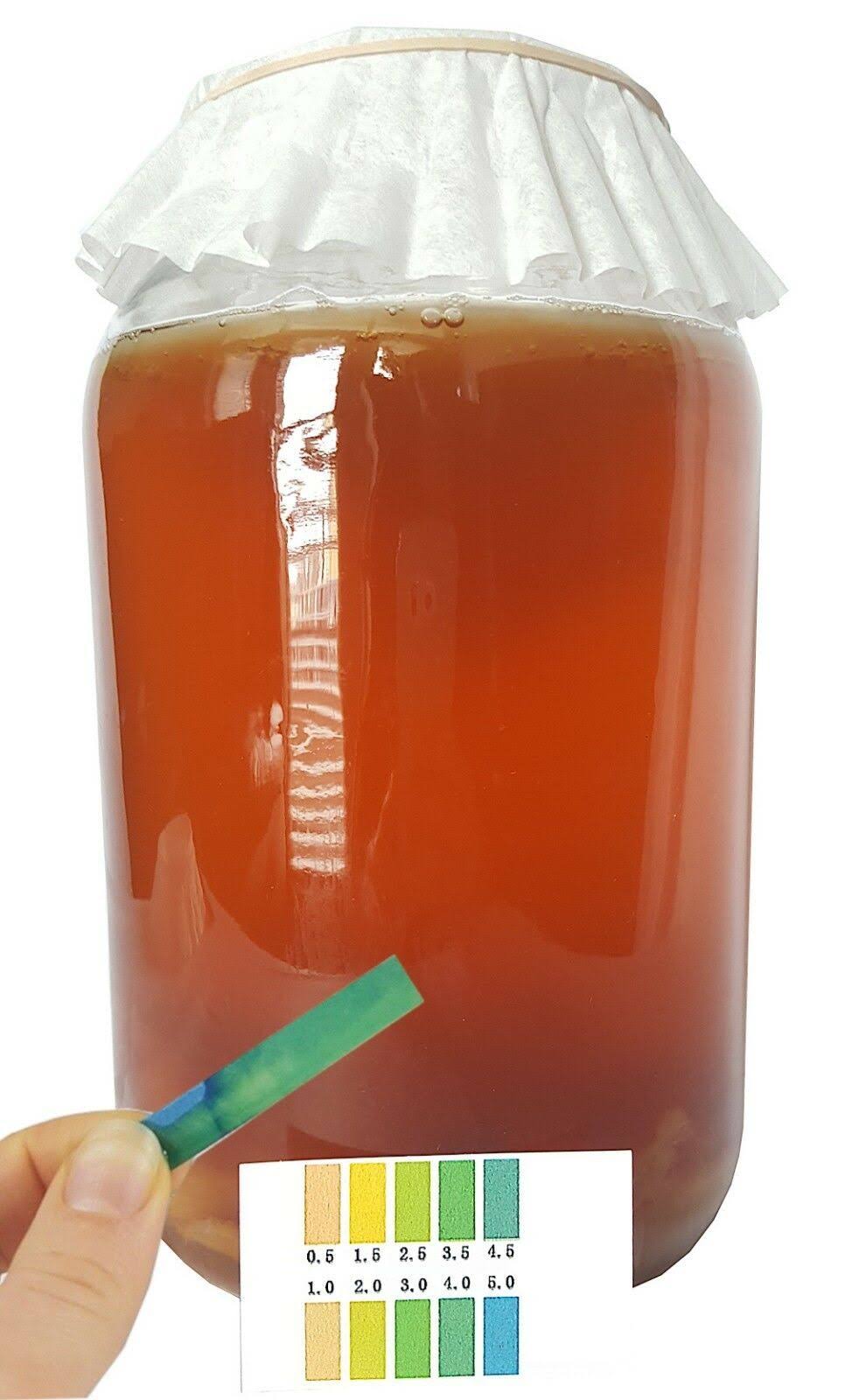 Kombucha Starter Kit with SCOBY, Starter Tea, Organic Sugar, Gallon Glass Jar with Lid T887