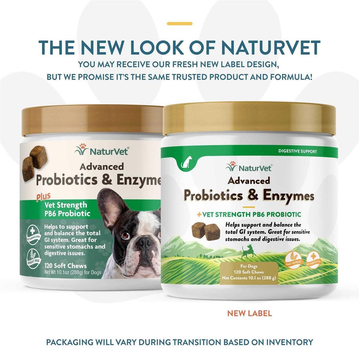 Probiotics Enzymes S428202