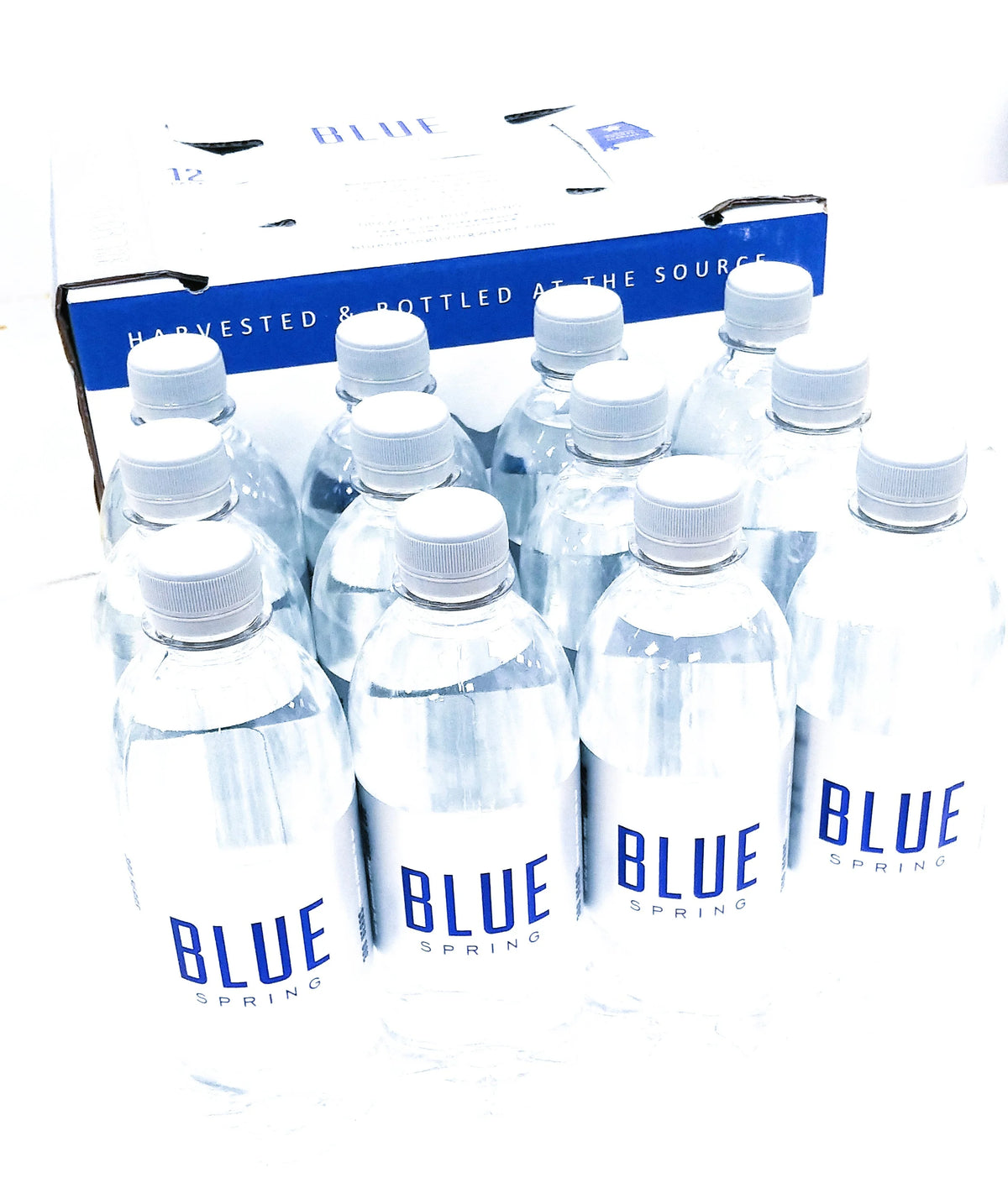 Natural Spring Water 16.9fl oz, 12 Pack U206