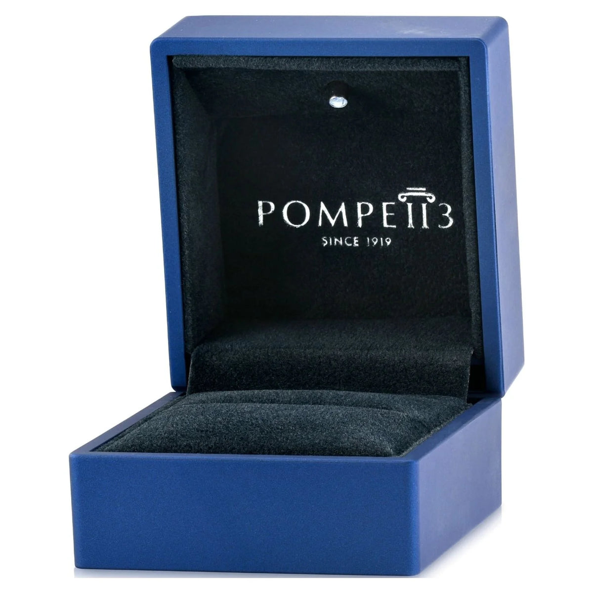 Black Diamond Stud Earrings in 14K Gold F309