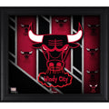Framed 15x22 x 17x22 Hardwood Classic Logo Collage E8161