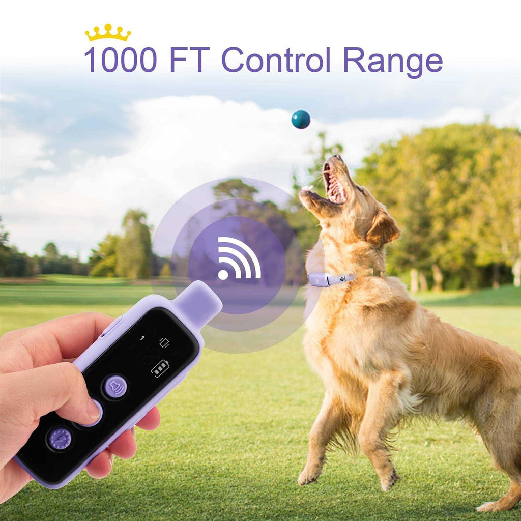 Waterproof Rechargeable Electric Dog Training Collar with Remote R331